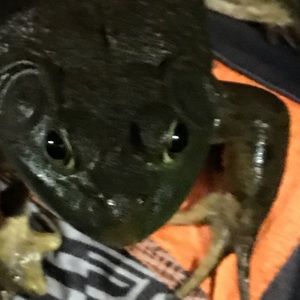 Meet your Posher, Jason